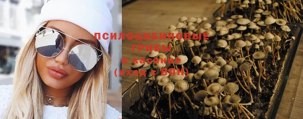 PSILOCYBIN Верхнеуральск
