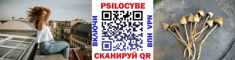 кракен рабочий сайт  Вичуга  Псилоцибиновые грибы Psilocybine cubensis 