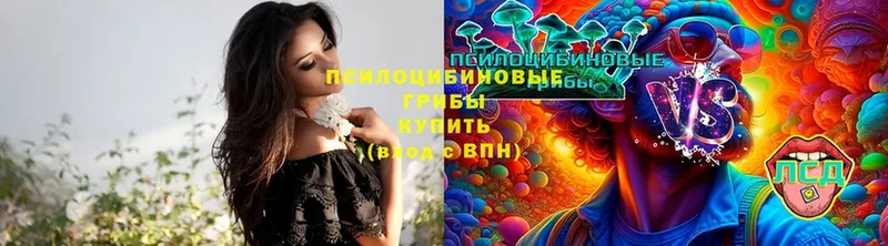 Псилоцибиновые грибы прущие грибы  сколько стоит  Вичуга 