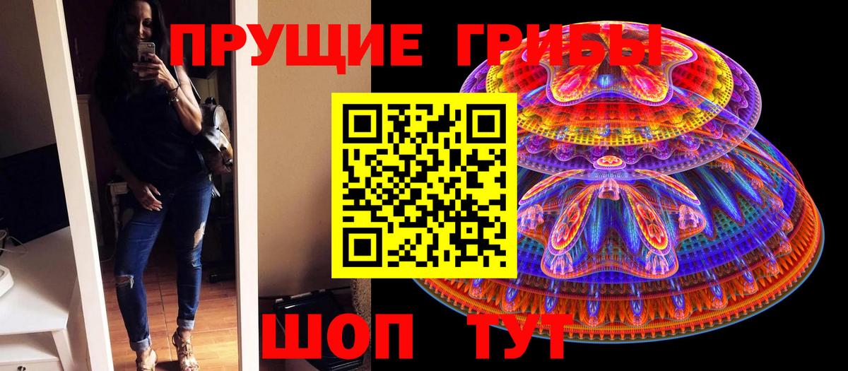 Галлюциногенные грибы Magic Shrooms  Вичуга  Галлюциногенные грибы GOLDEN TEACHER 