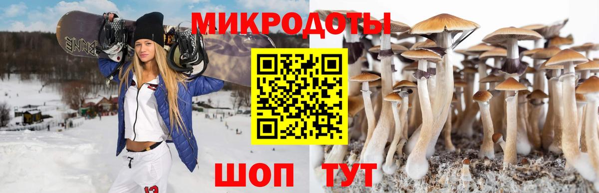 Галлюциногенные грибы MAGIC MUSHROOMS  Вход с VPN  Вичуга 