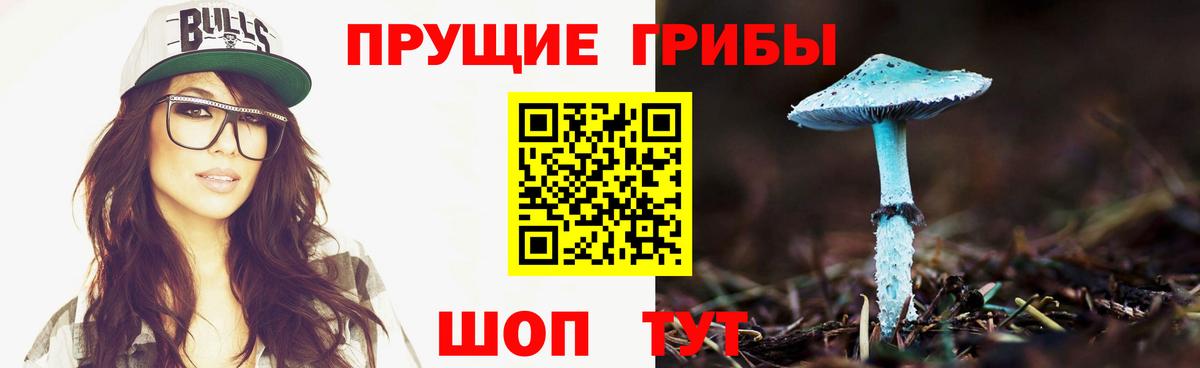 Псилоцибиновые грибы Cubensis Вичуга